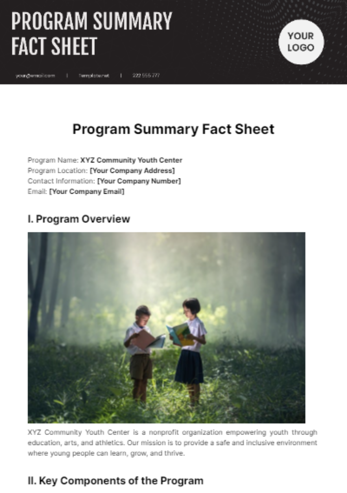 Program Summary Fact Sheet Template