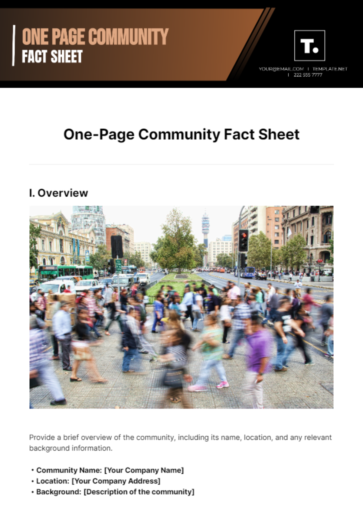 One-Page Community Fact Sheet Template