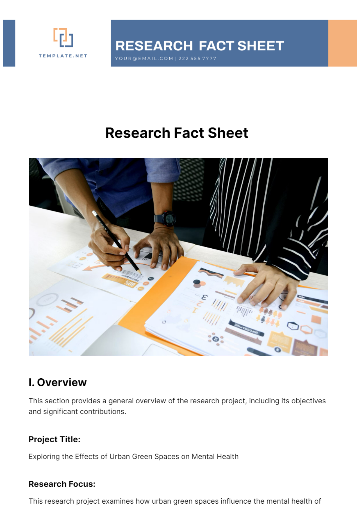 Research Fact Sheet Template