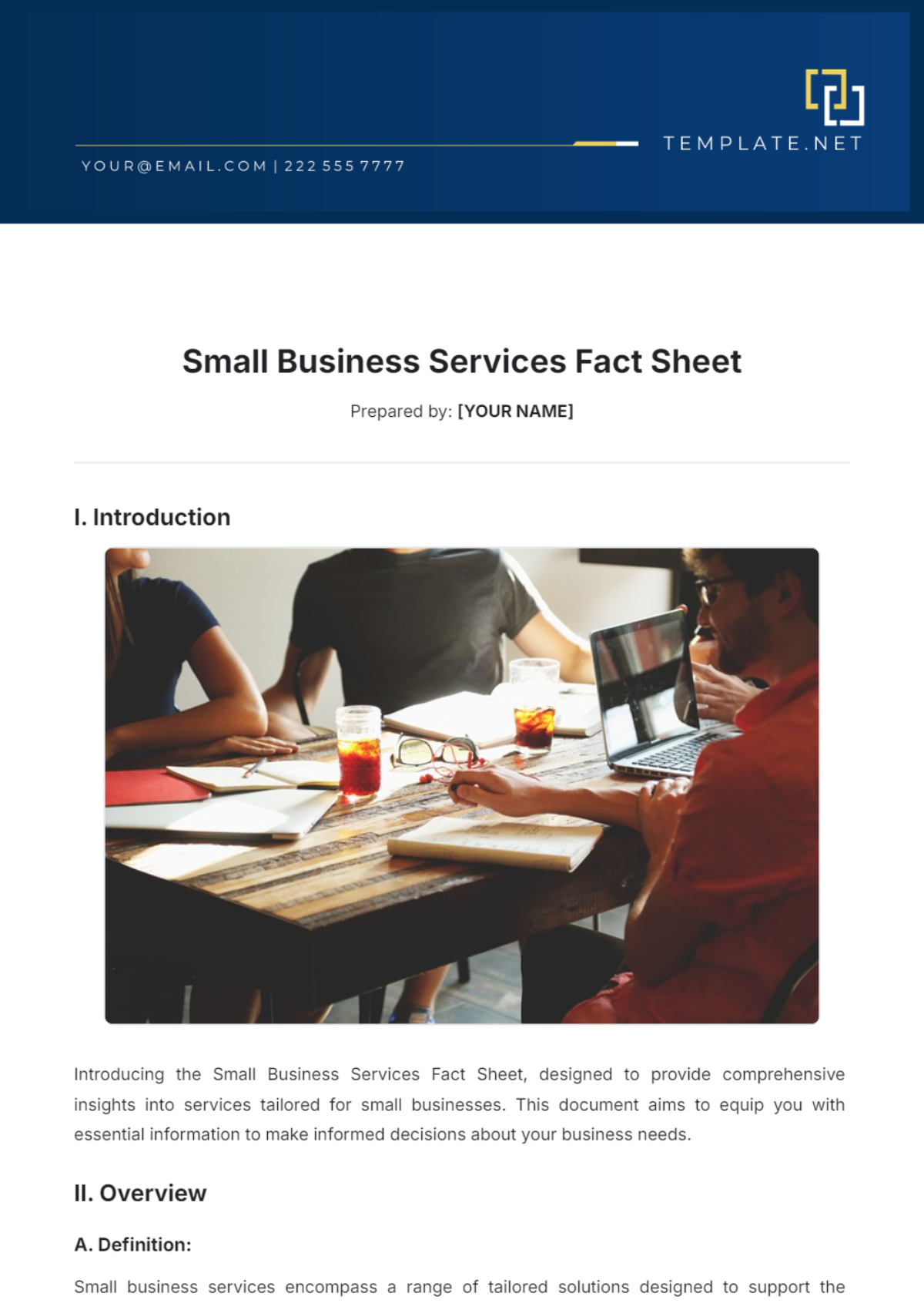 Small Business Services Fact Sheet Template - Edit Online & Download