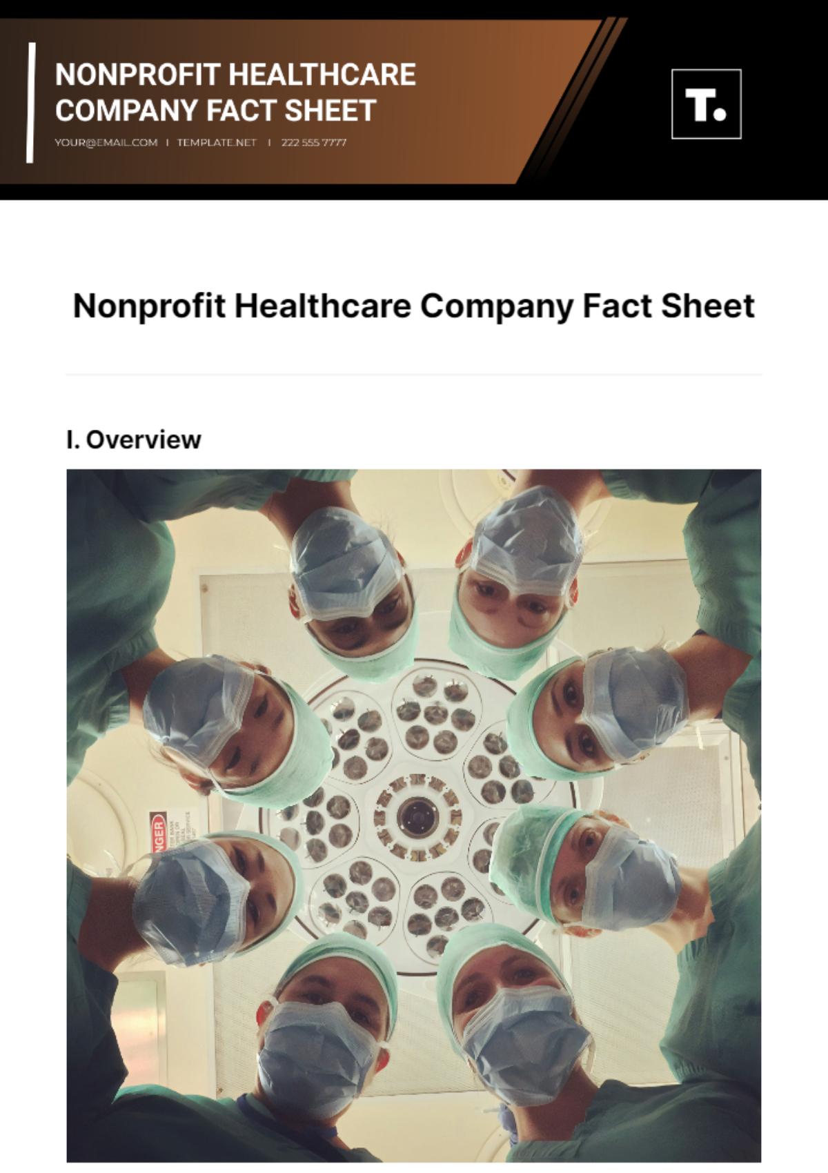 Nonprofit Healthcare Company Fact Sheet Template