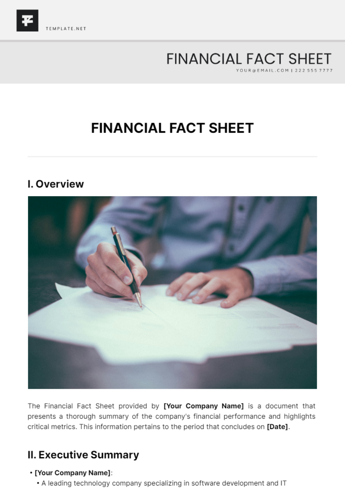 Financial Fact Sheet Template