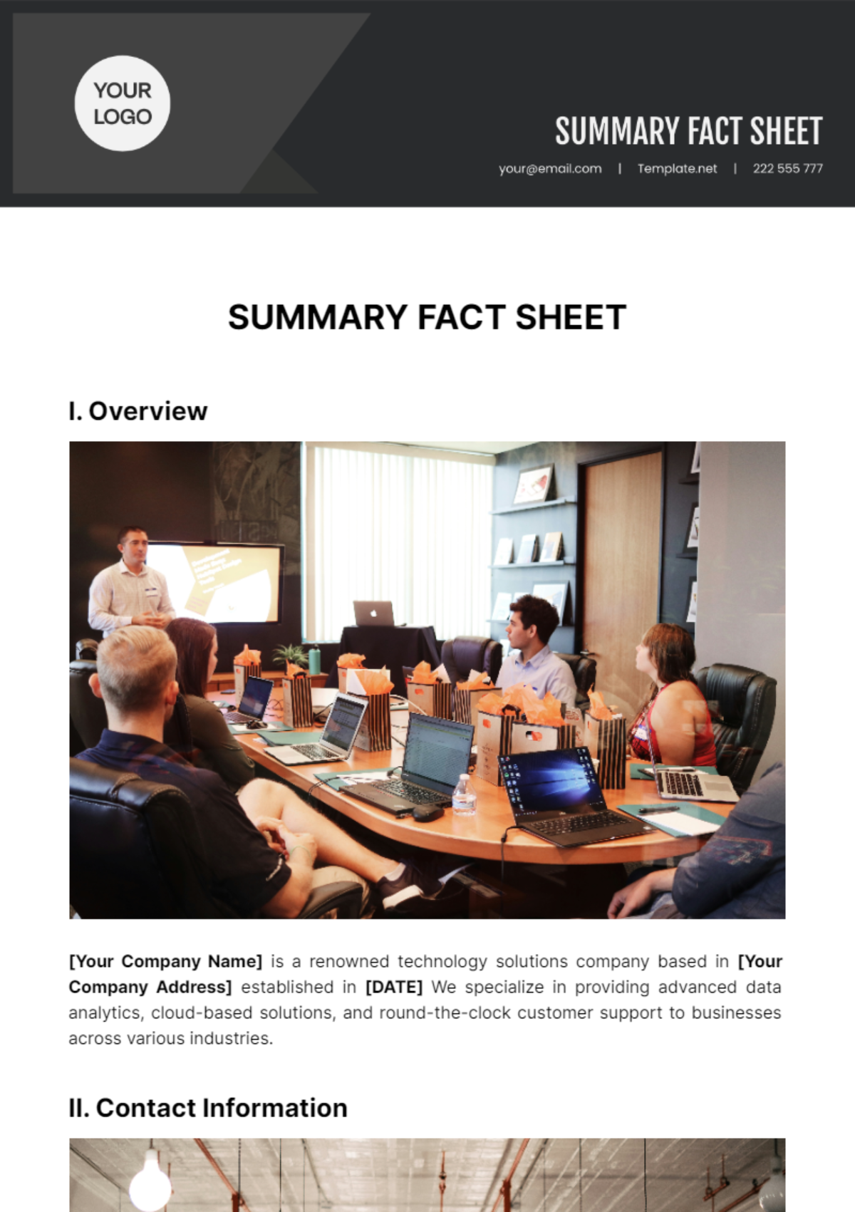 Free Summary Fact Sheet Template