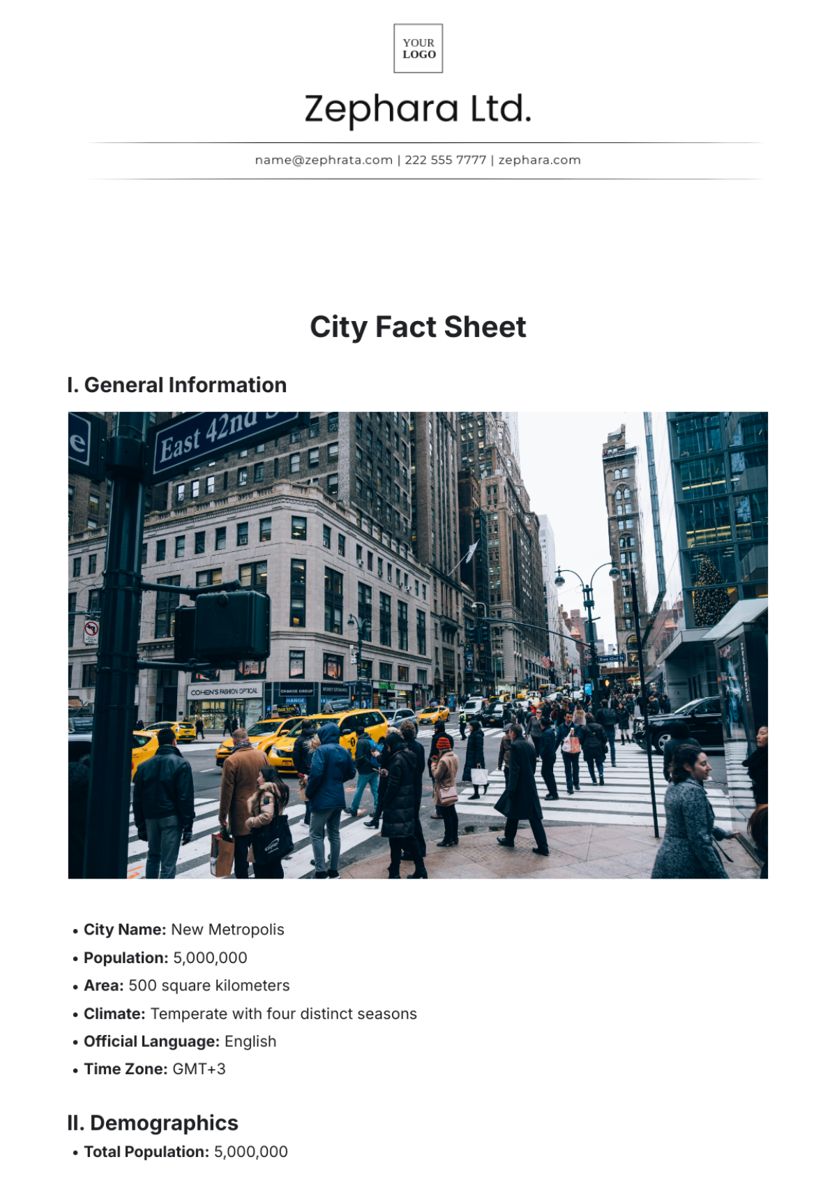 Aesthetic City Fact Sheet Template