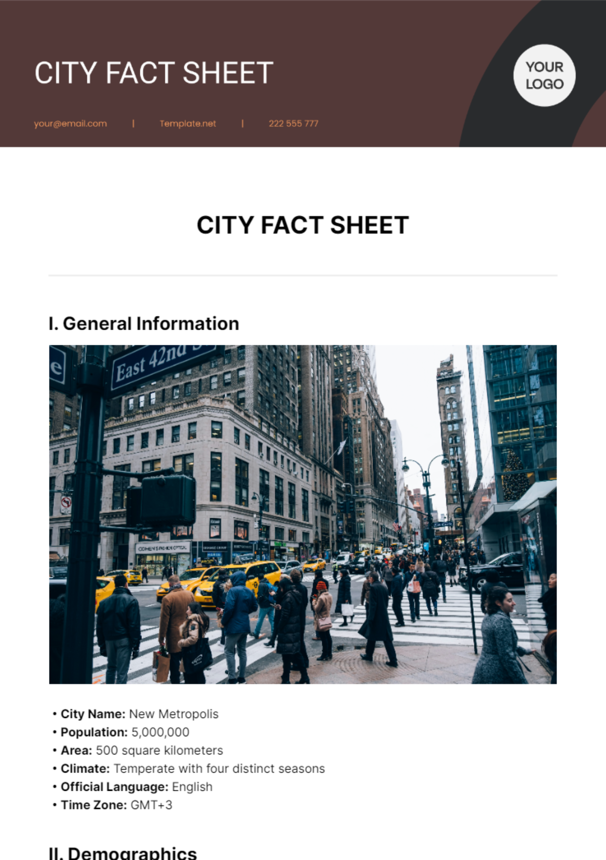 City Fact Sheet Template