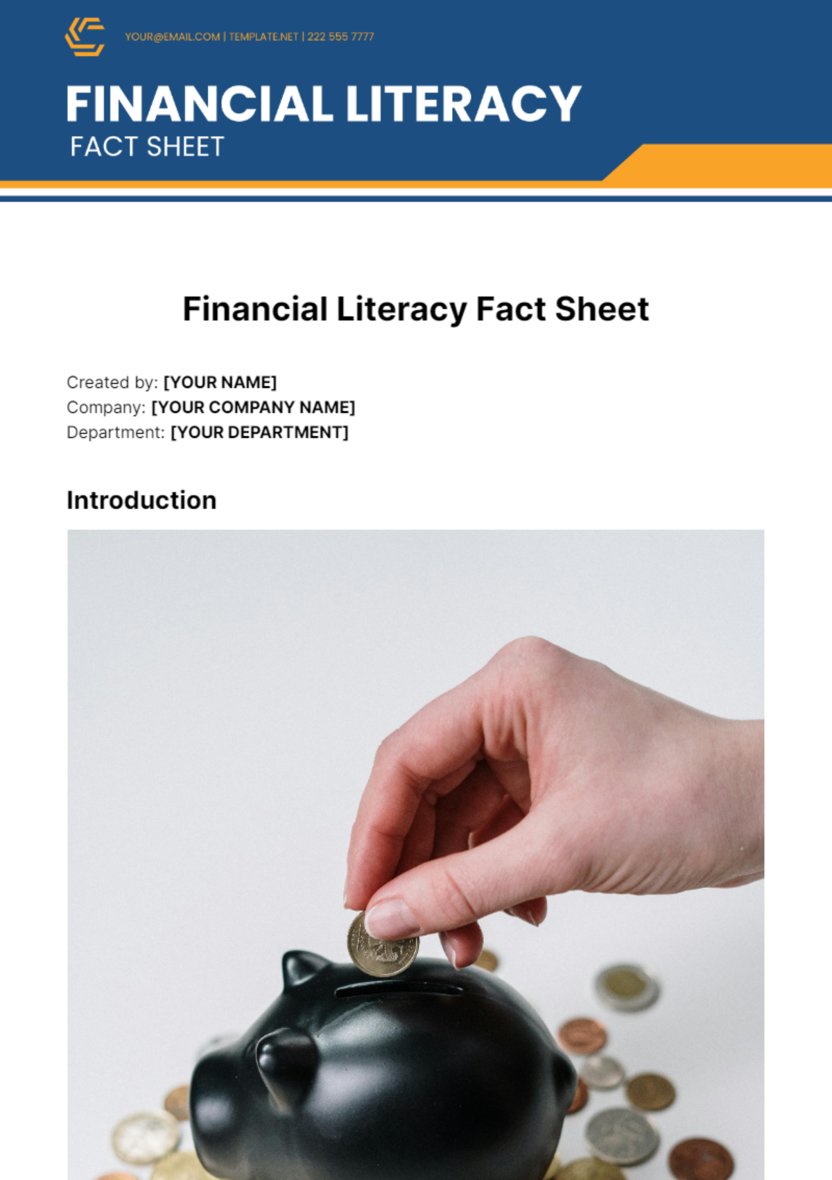Free Financial Literacy Fact Sheet Template