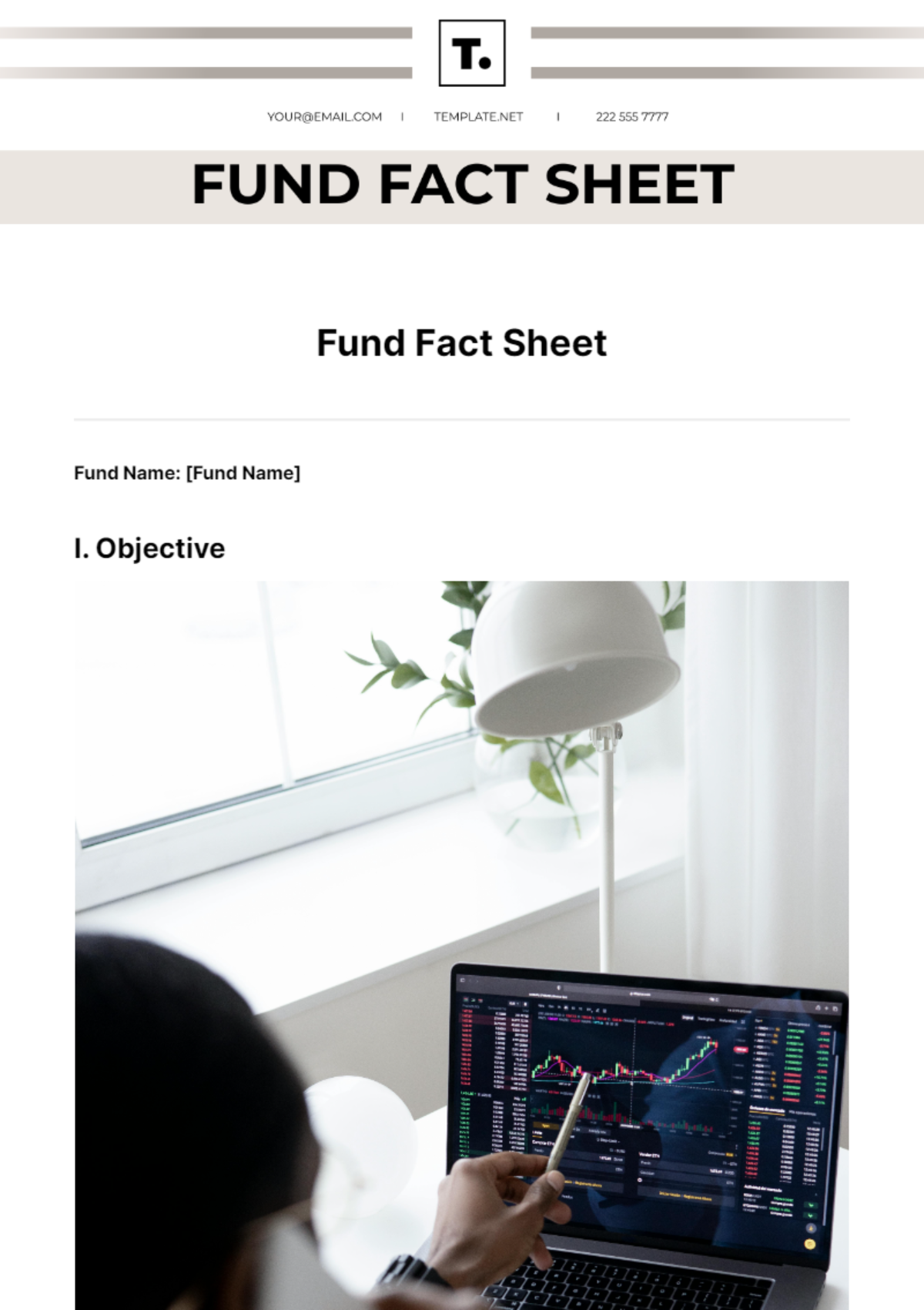 Free Fund Fact Sheet Template