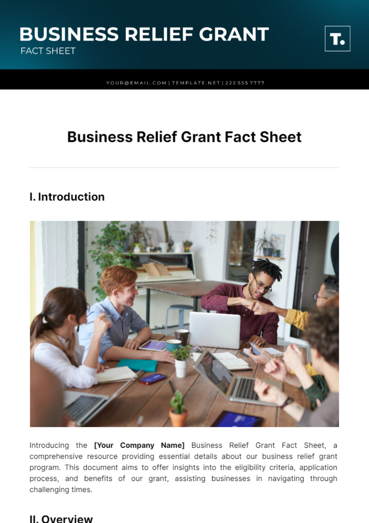 Free Business Relief Grant Fact Sheet Template