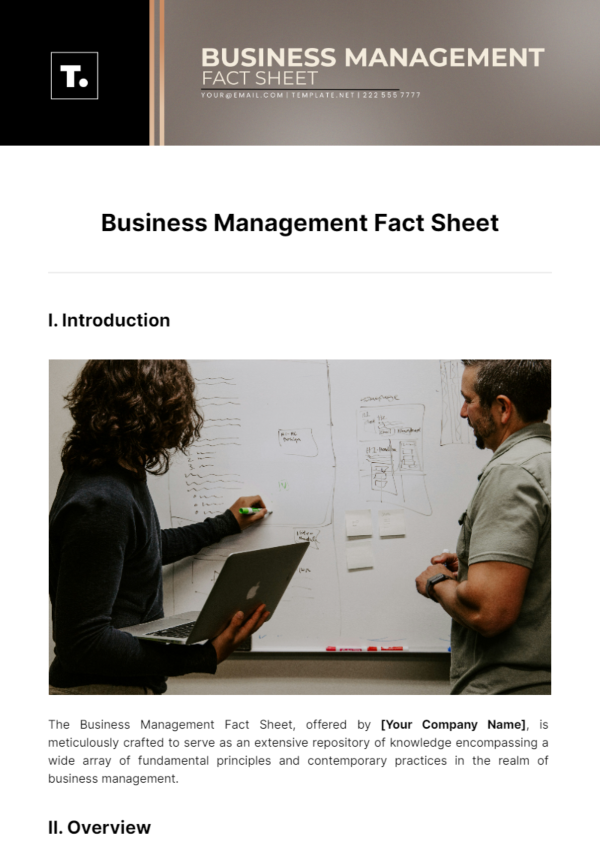Business Management Fact Sheet Template