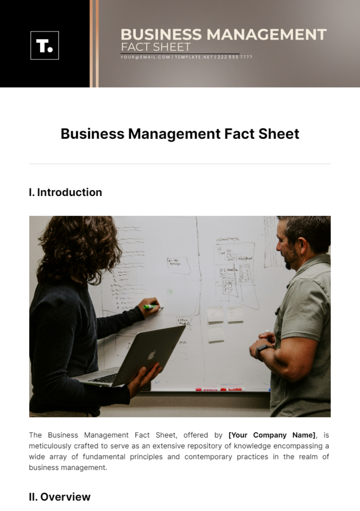 Business Management Fact Sheet Template - Edit Online & Download