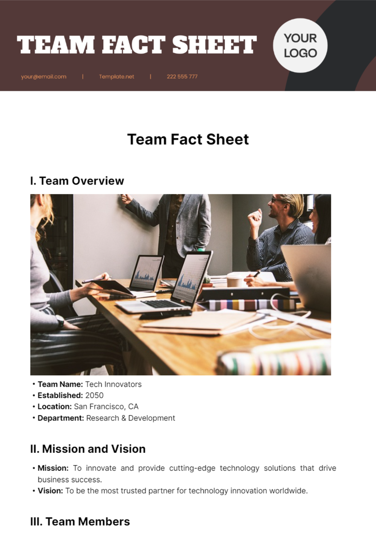 Team Fact Sheet Template
