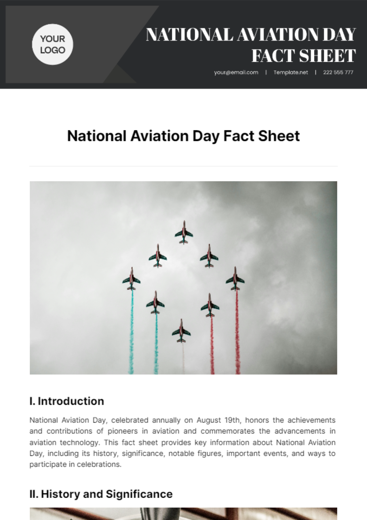 National Aviation Day Factsheet Template