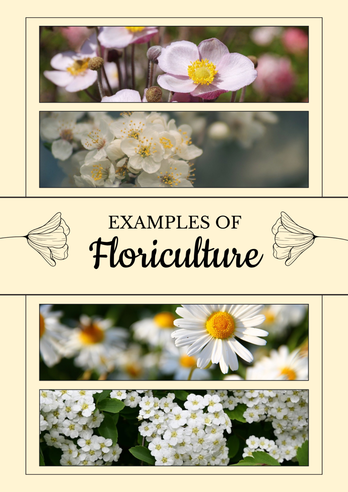 Floriculture Collage