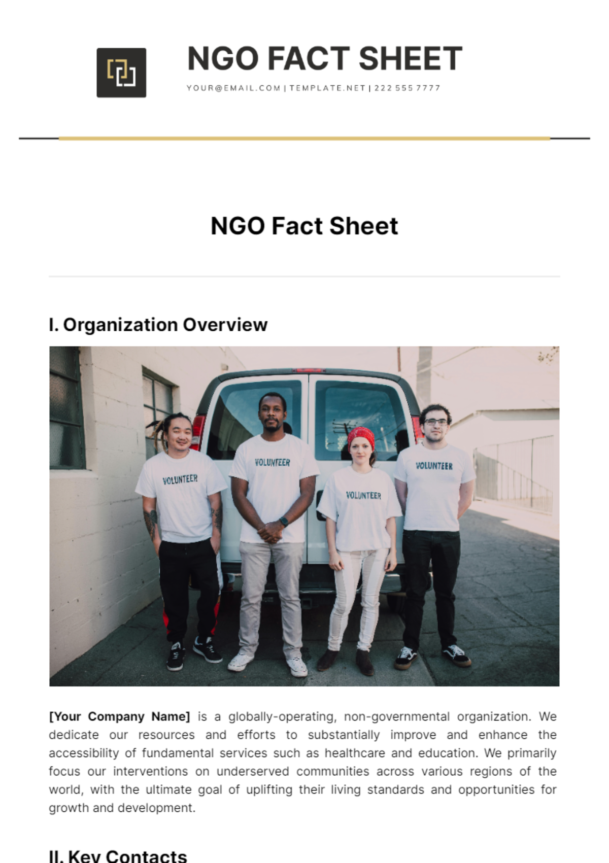 Ngo Fact Sheet Template