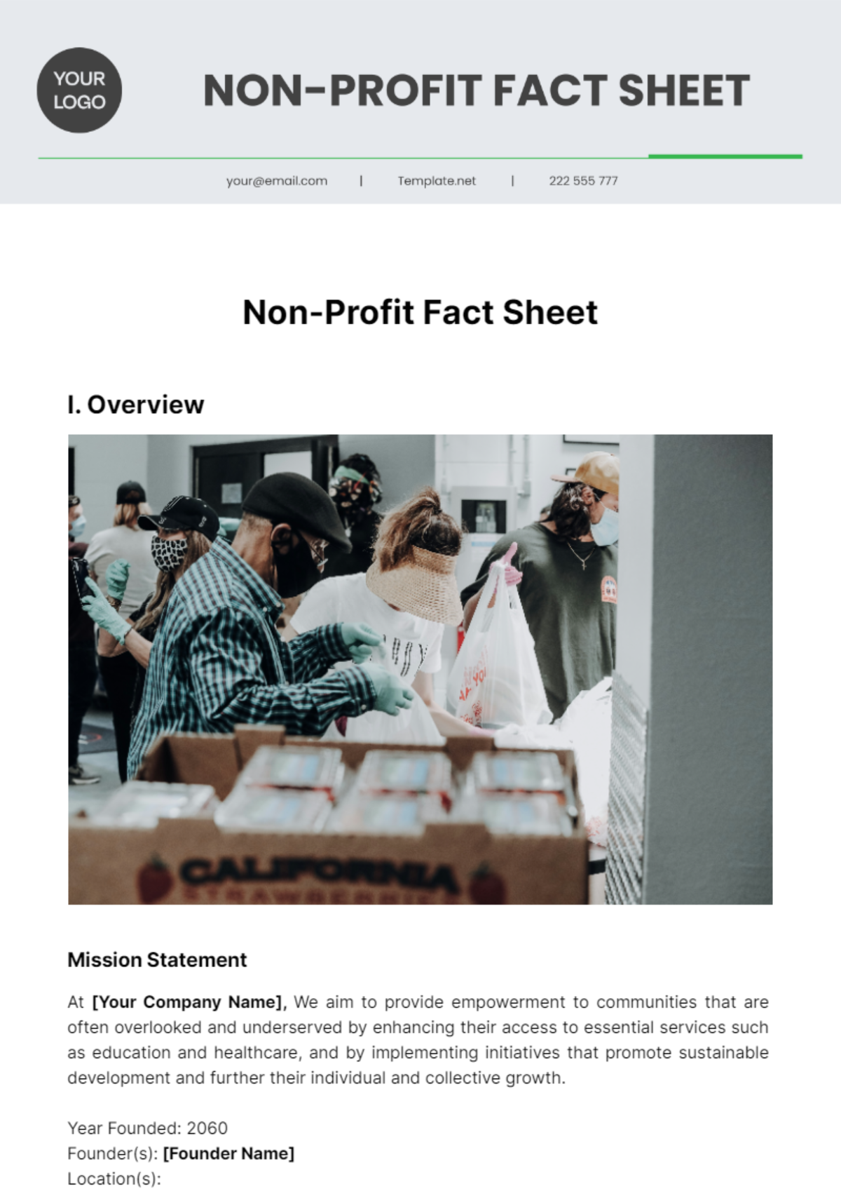 Non Profit Fact Sheet Template