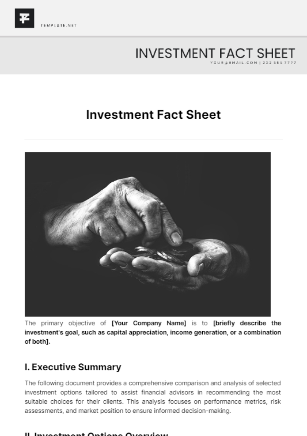 Investment Fact Sheet Template