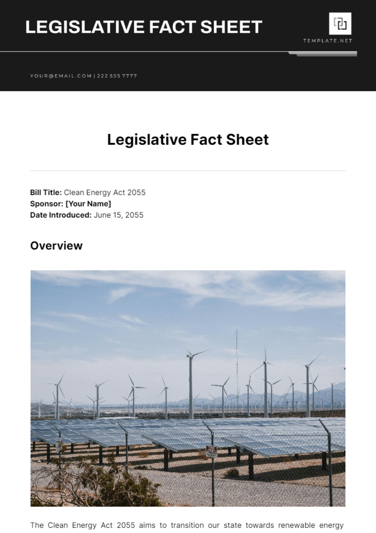 Legislative Fact Sheet Template
