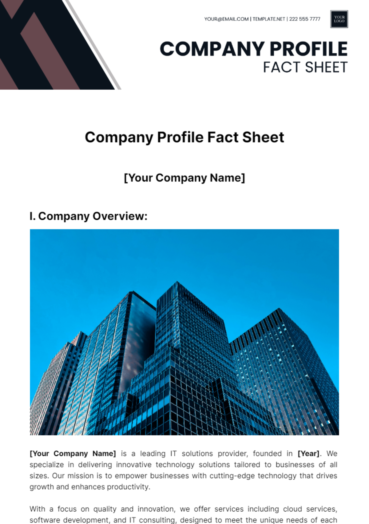 Company Profile Fact Sheet Template