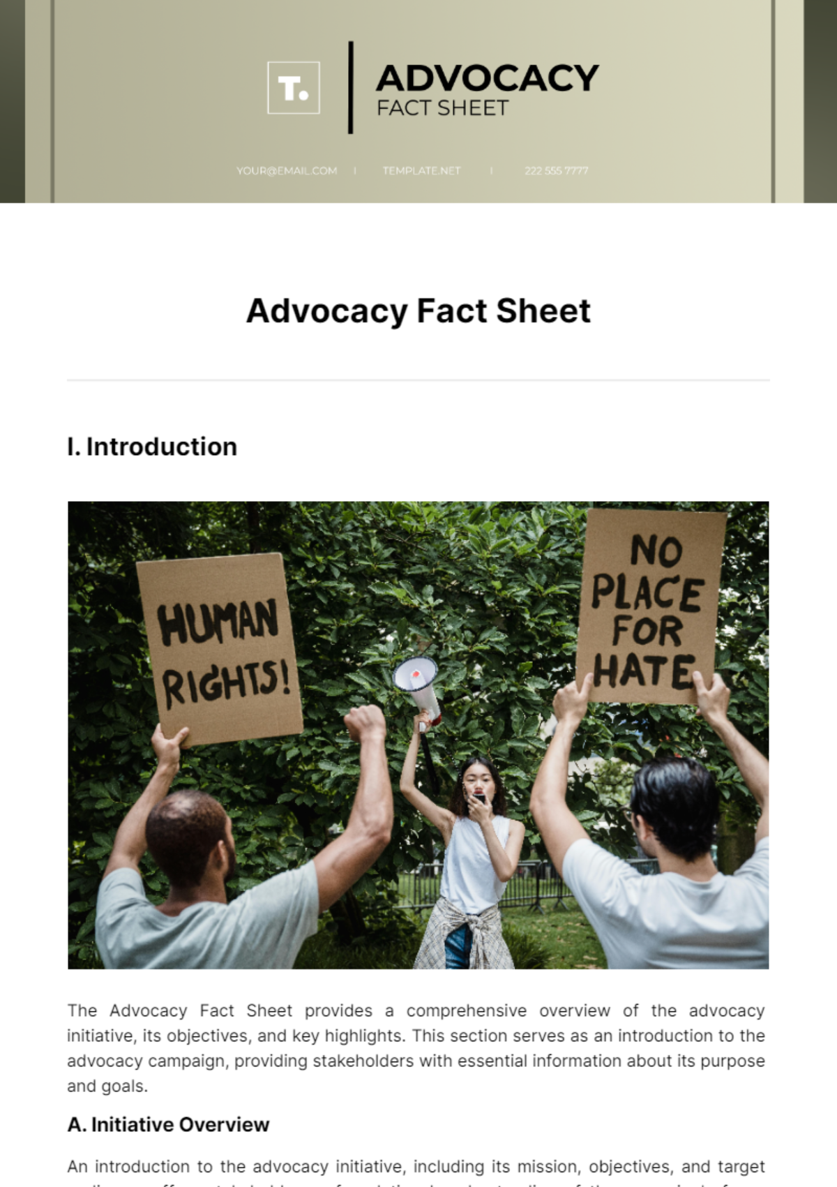Advocacy Fact Sheet Template