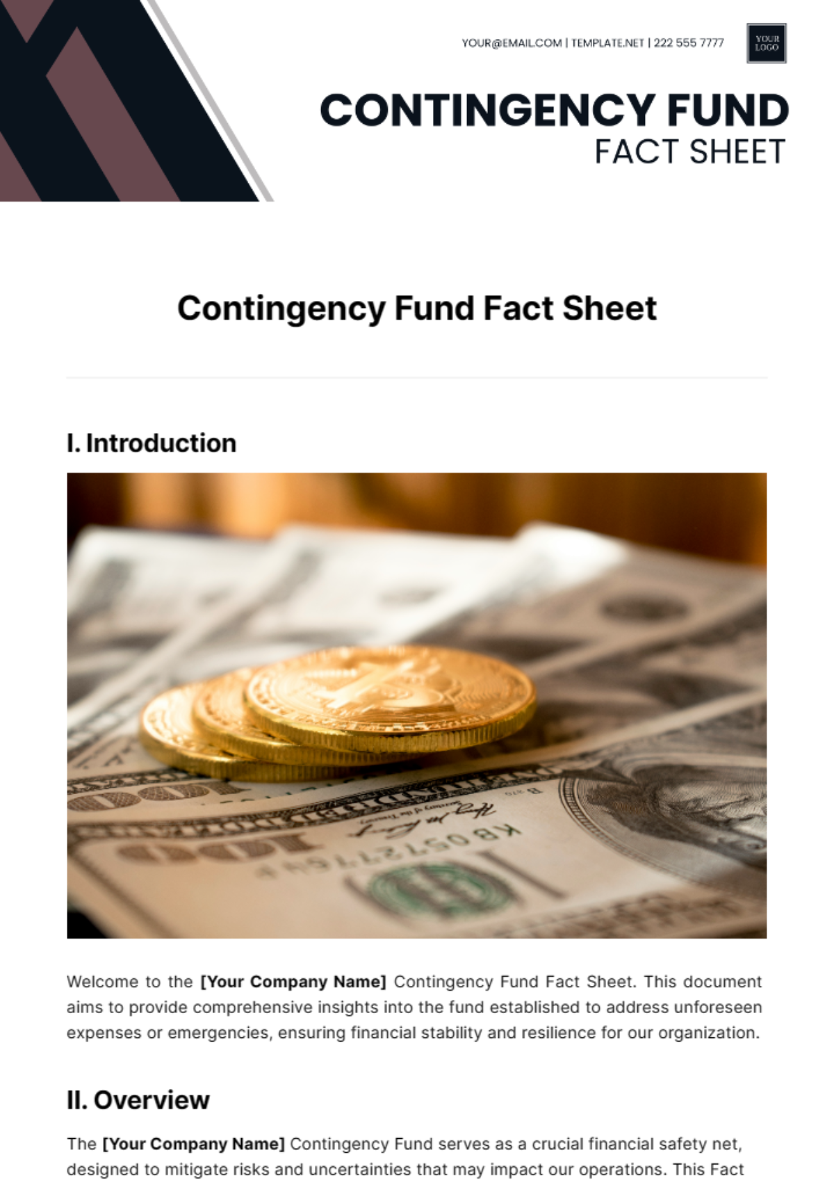 Contingency Fund Fact Sheet Template