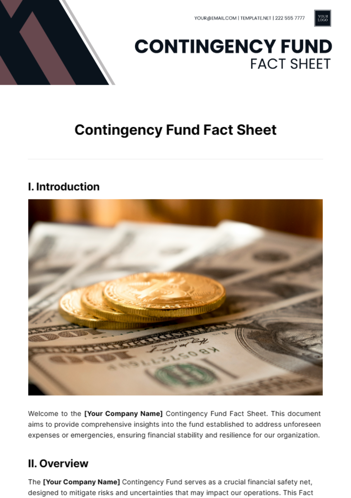 Contingency Fund Fact Sheet Template - Edit Online & Download