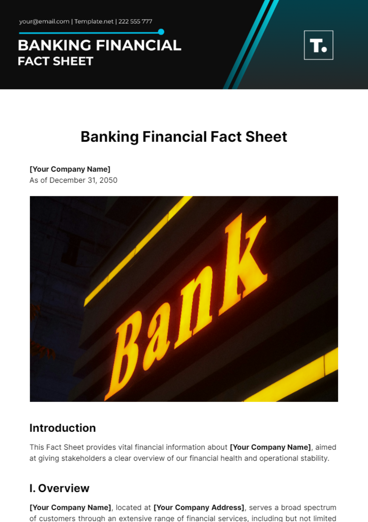 Banking Financial Fact Sheet Template