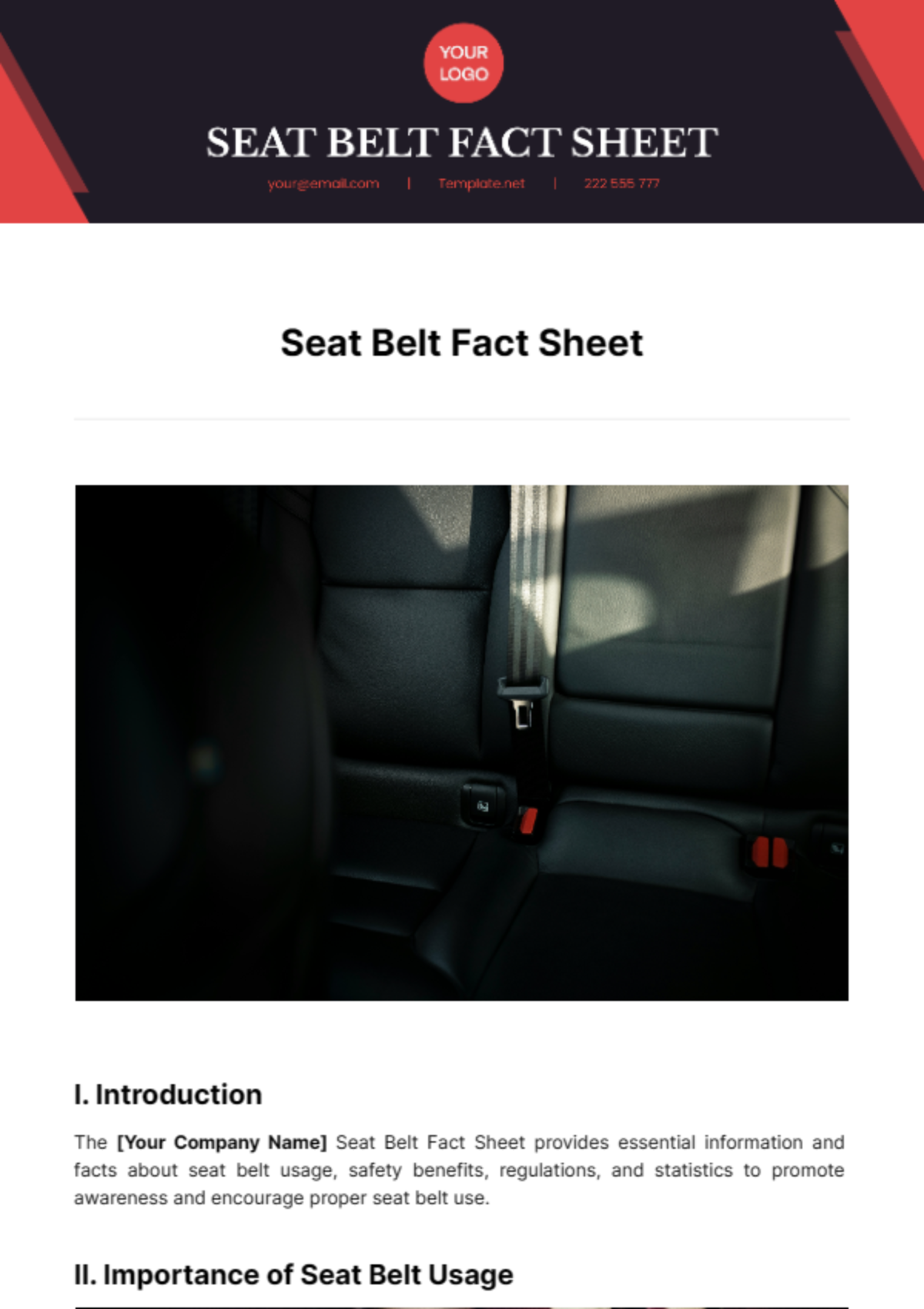 Seat Belt Fact Sheet Template