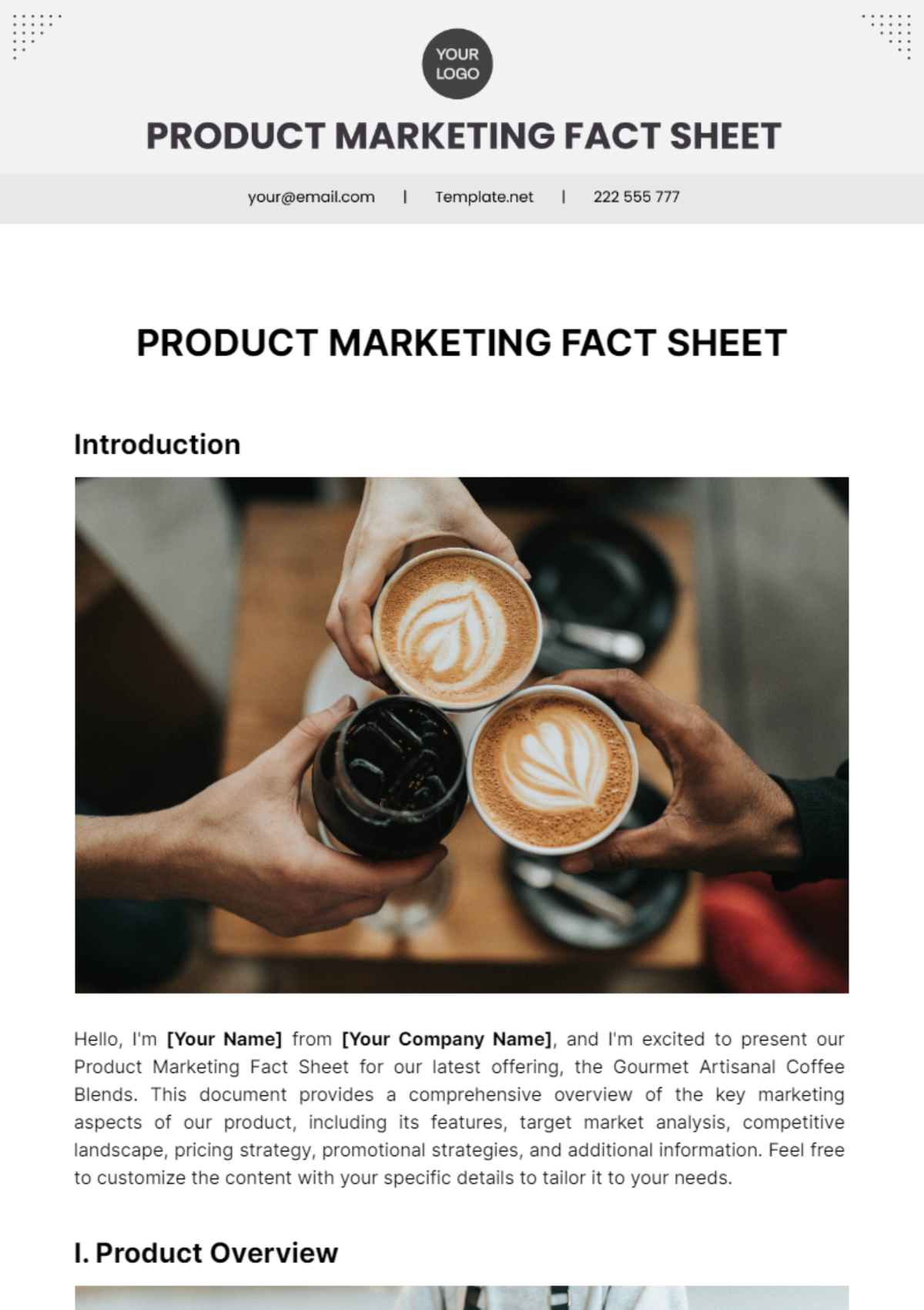 Product Marketing Fact Sheet Template