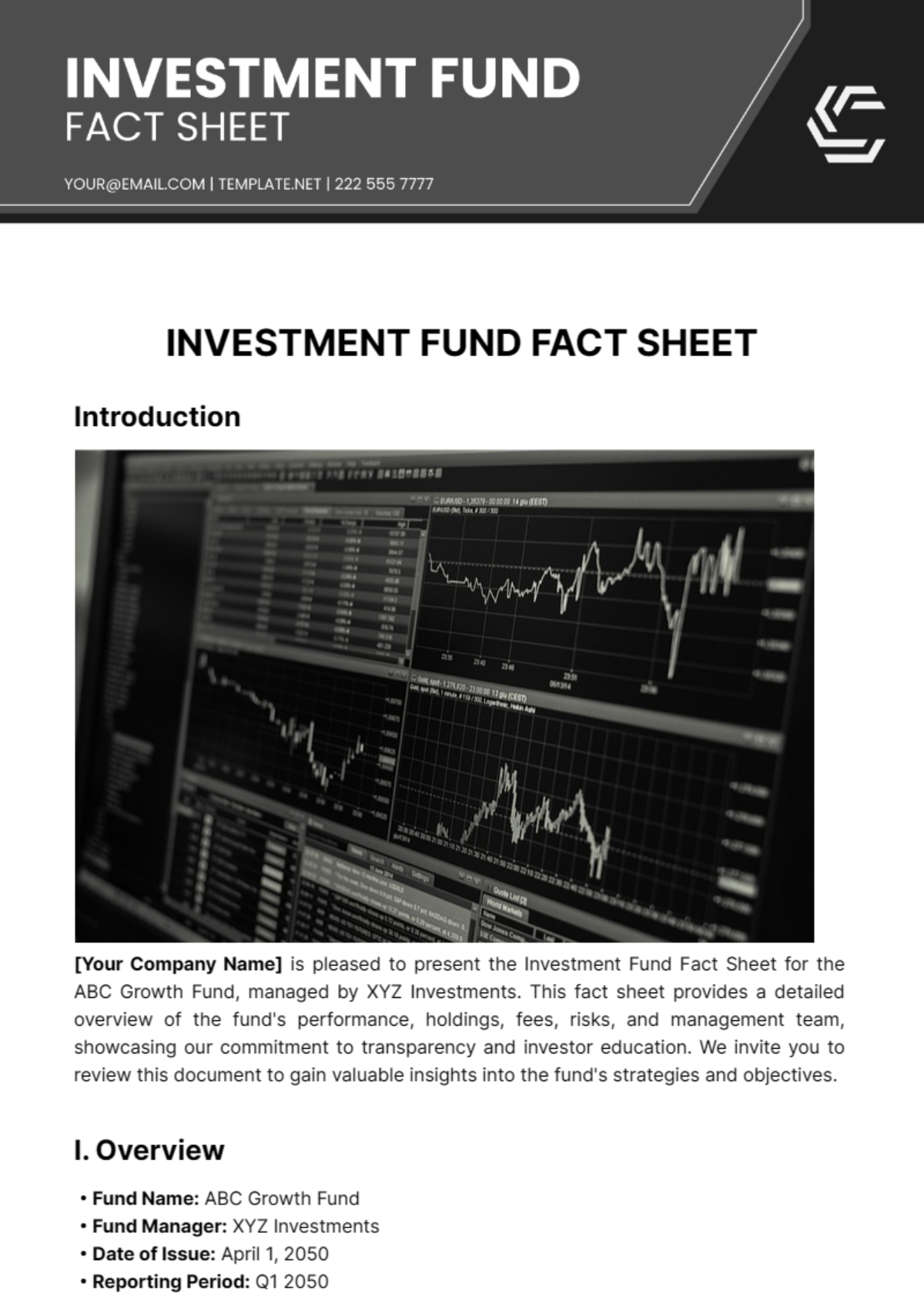 Investment Fund Fact Sheet Template