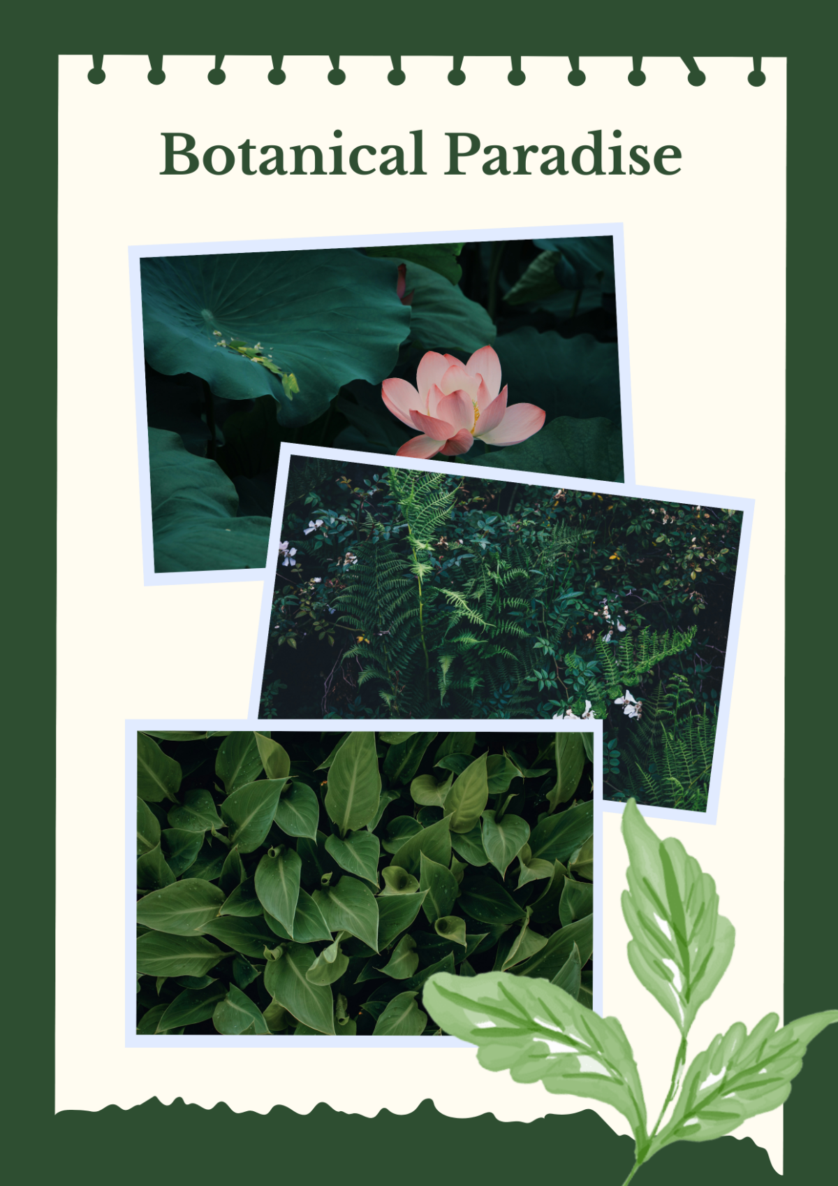 Botanical Collage Template