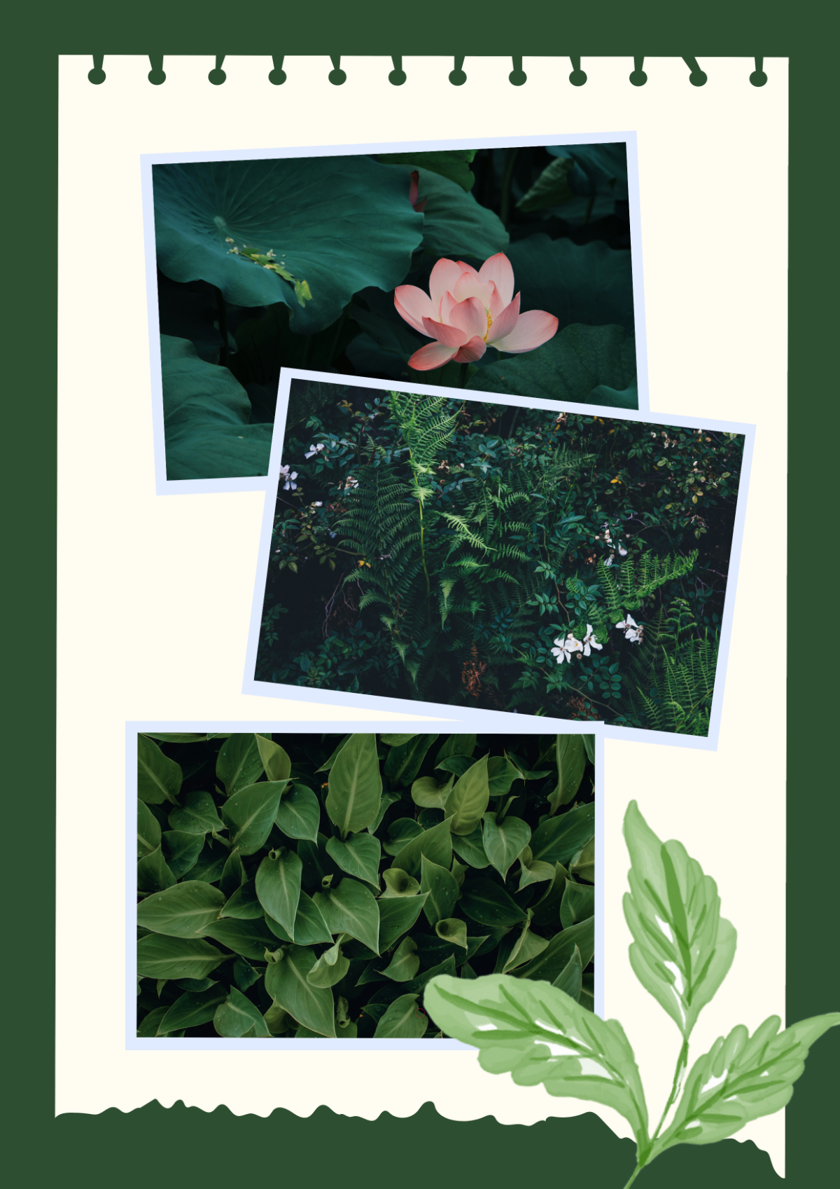 Free Botanical Collage Template