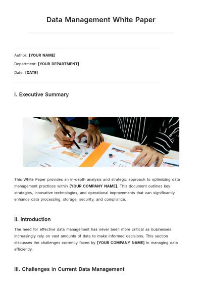Free Data Management White Paper Template to Edit Online
