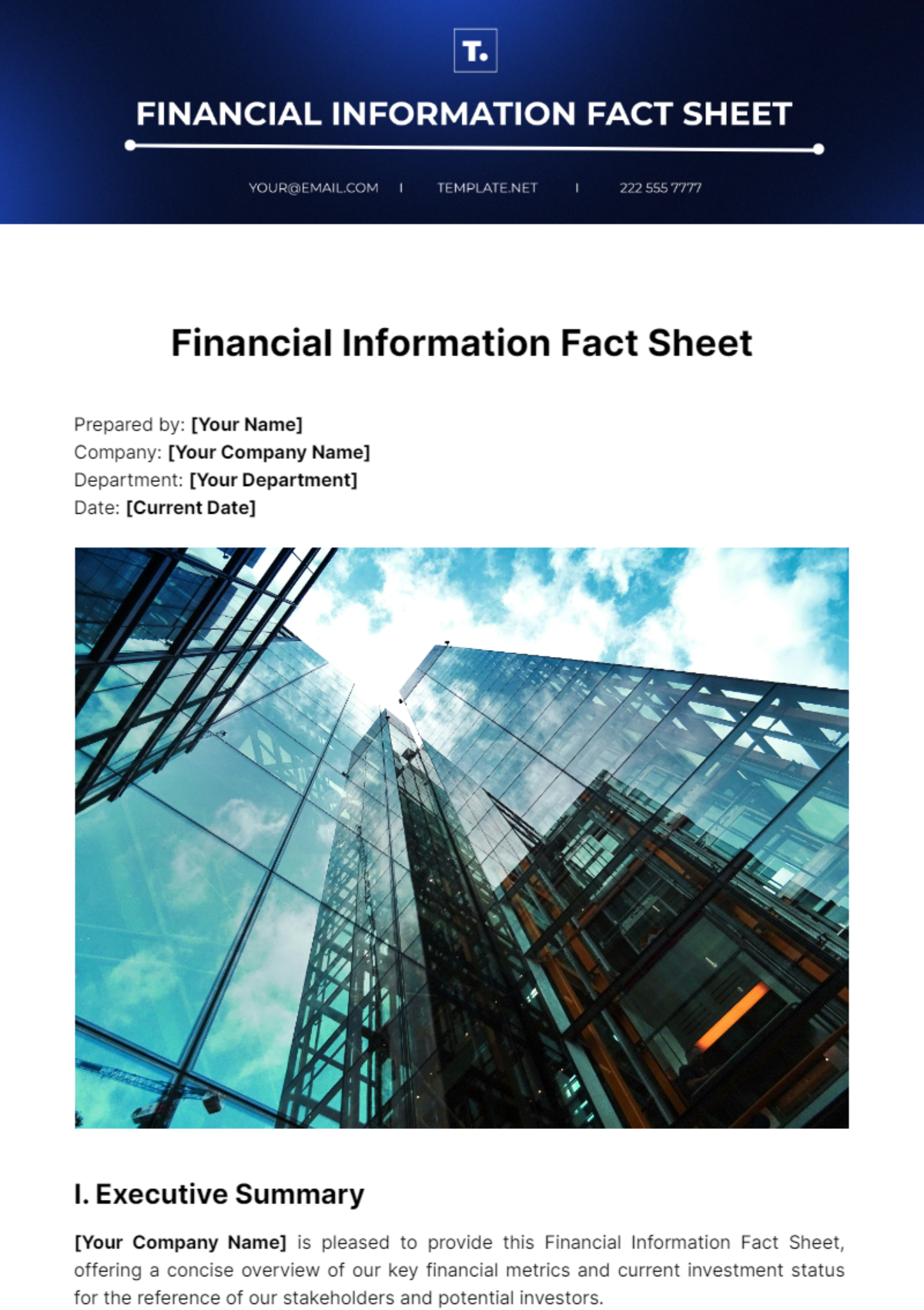 Financial Information Fact Sheet Template