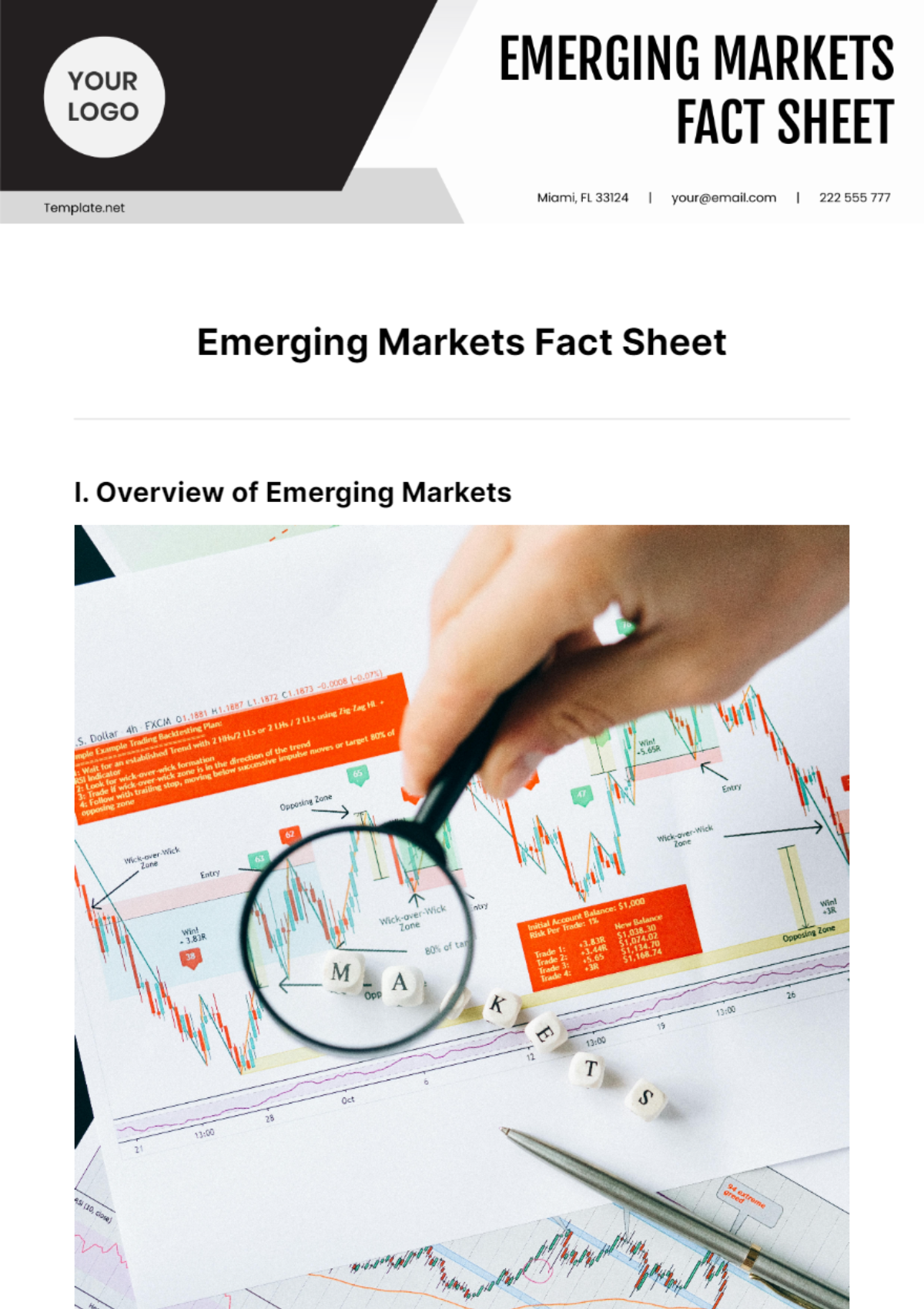 Emerging Markets Fact Sheet Template