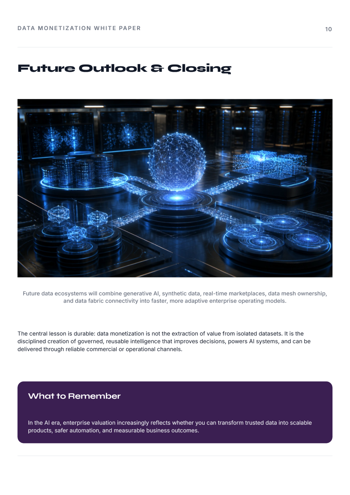 Free Data Monetization White Paper Template to Edit Online