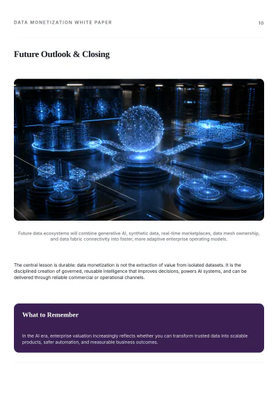 Free Data Monetization White Paper Template to Edit Online