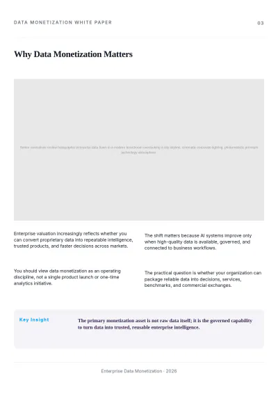 Free Data Monetization White Paper Template to Edit Online