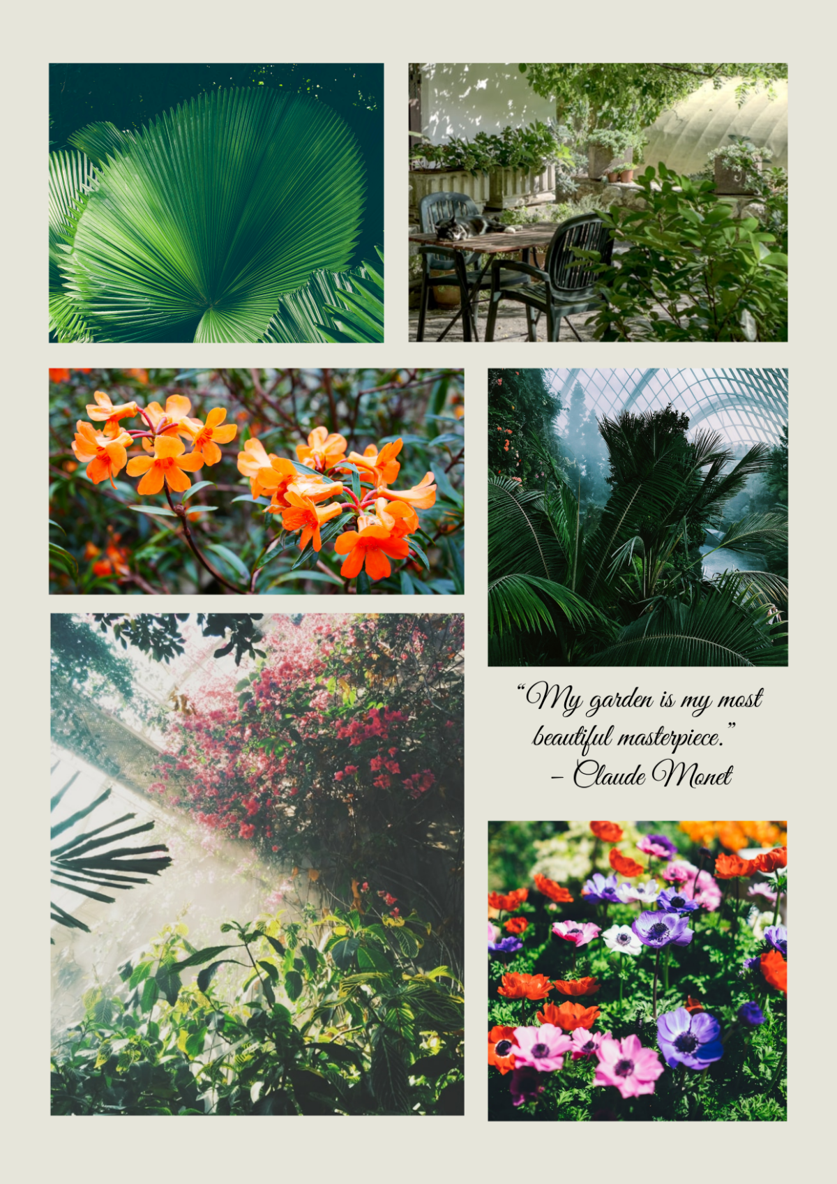 Free Growing Plants Photo Collage Template