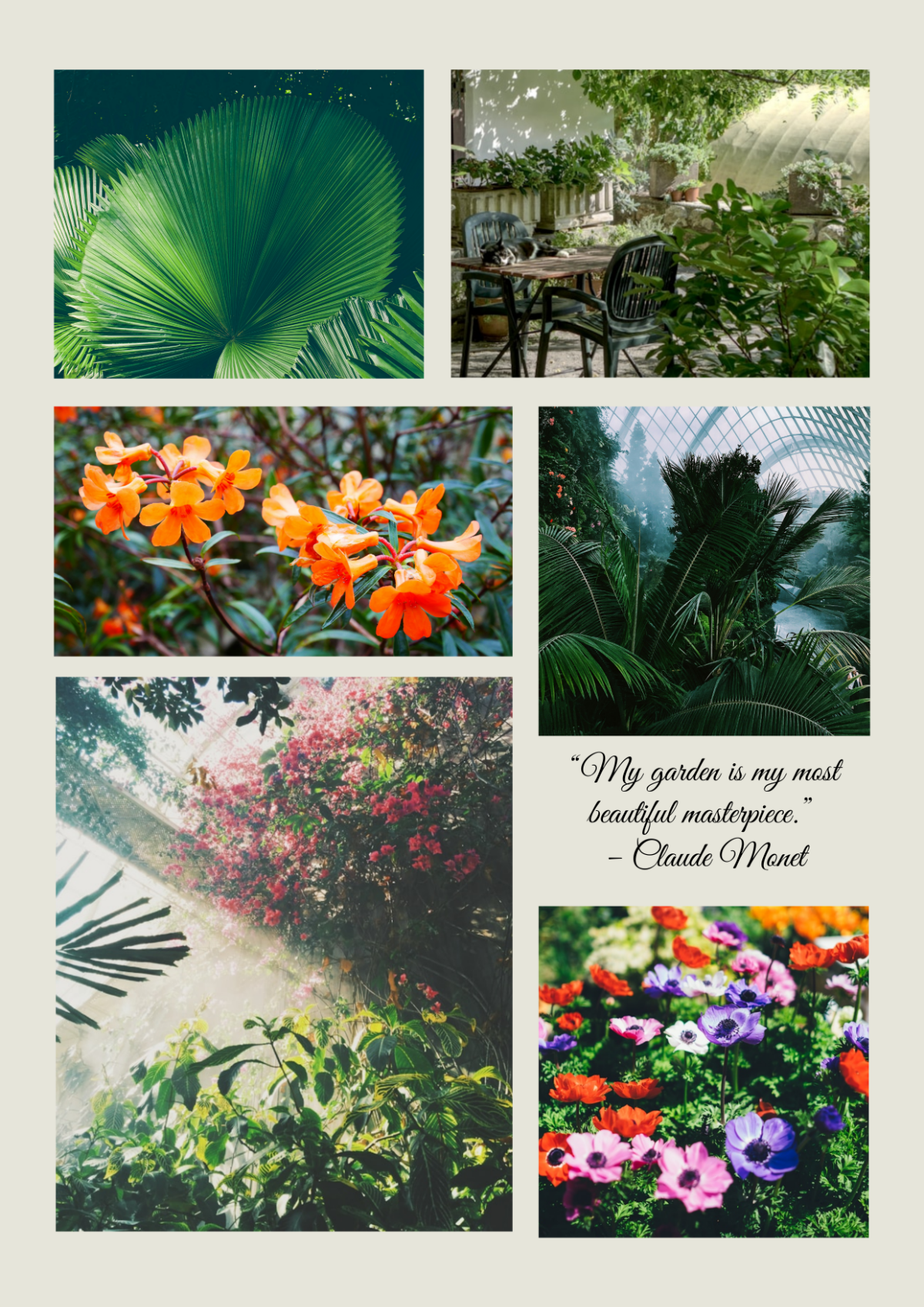 Growing Plants Photo Collage Template - Edit Online & Download