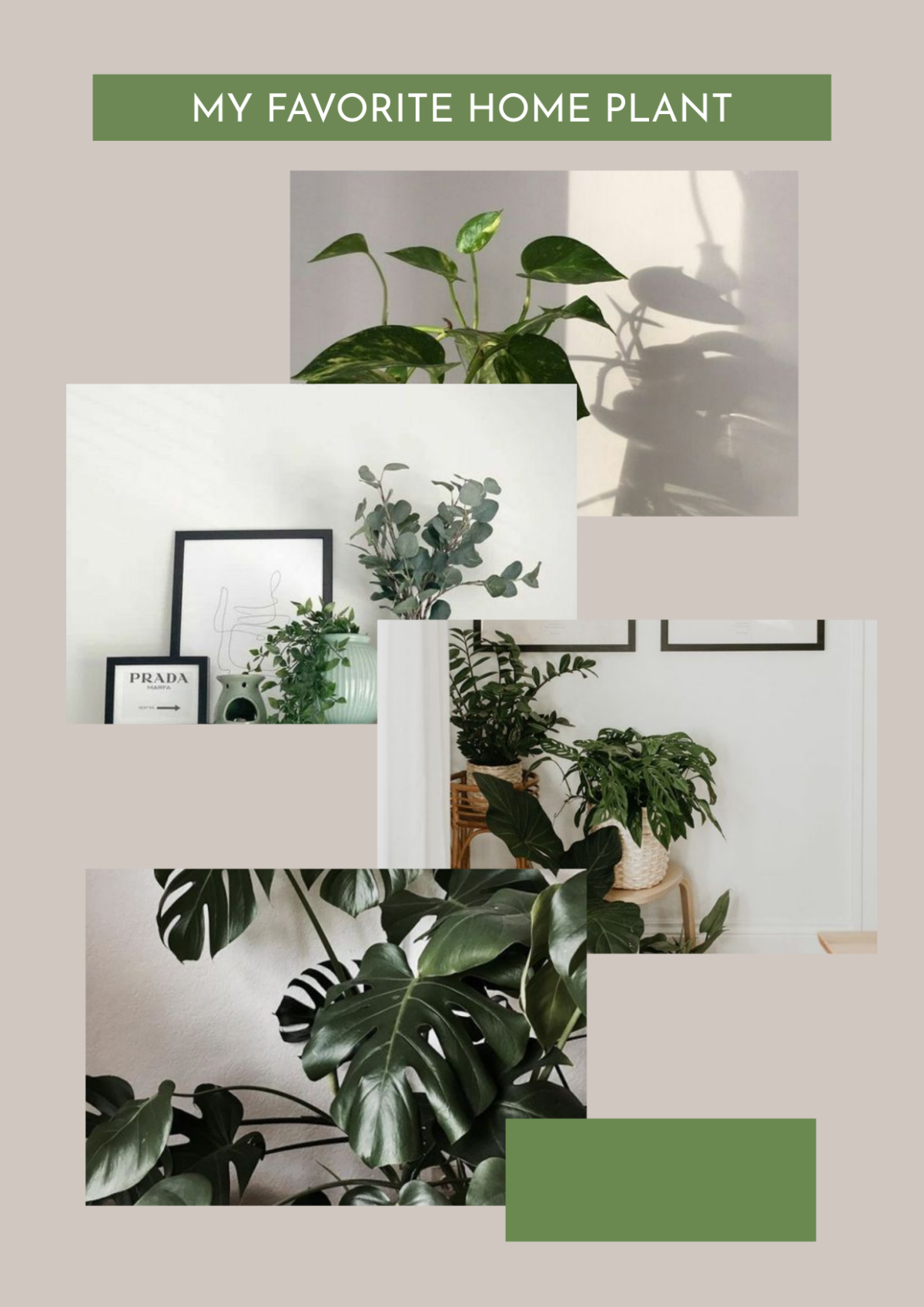 Free Home Plant Photo Collage Template