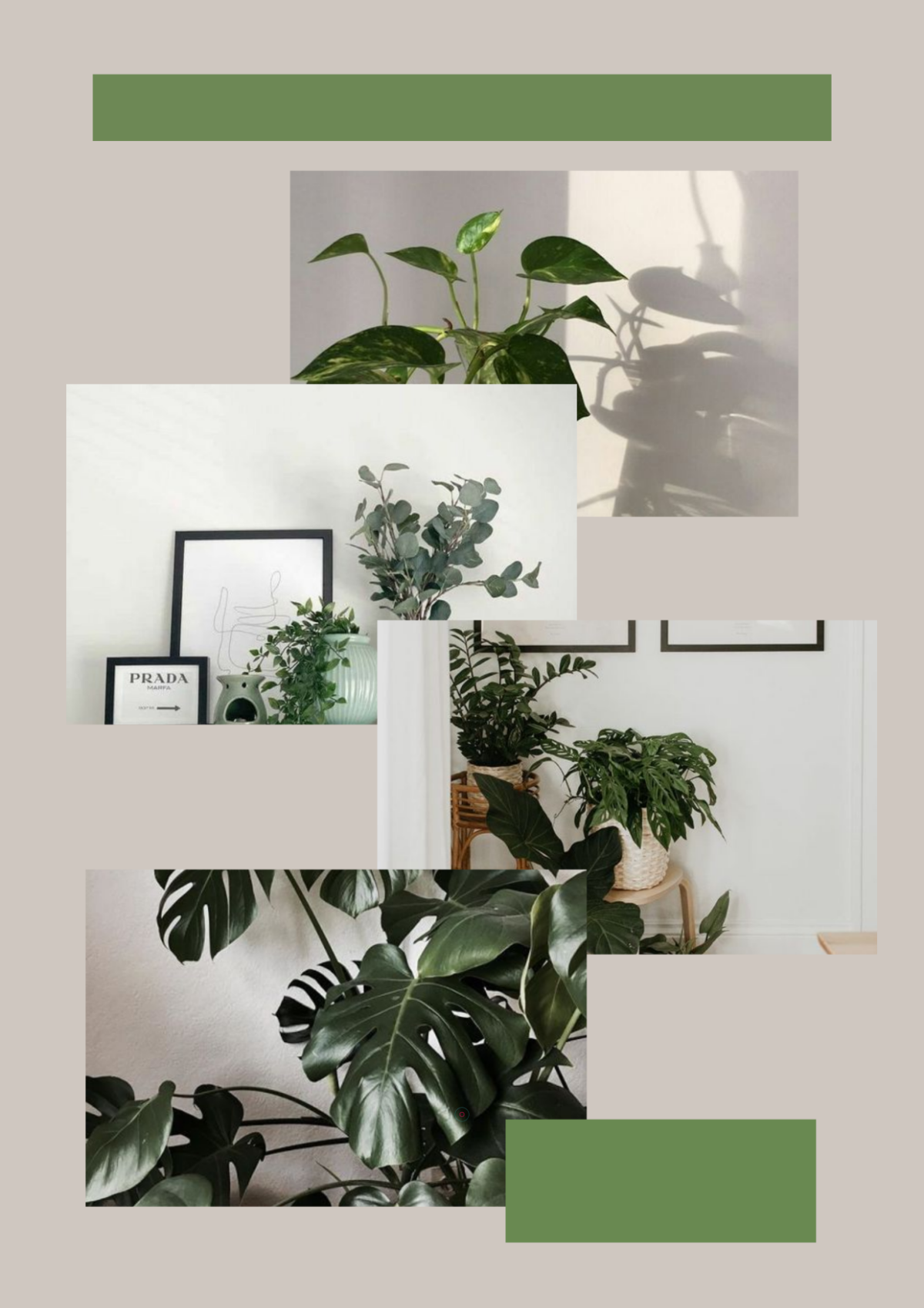 Free Home Plant Photo Collage Template