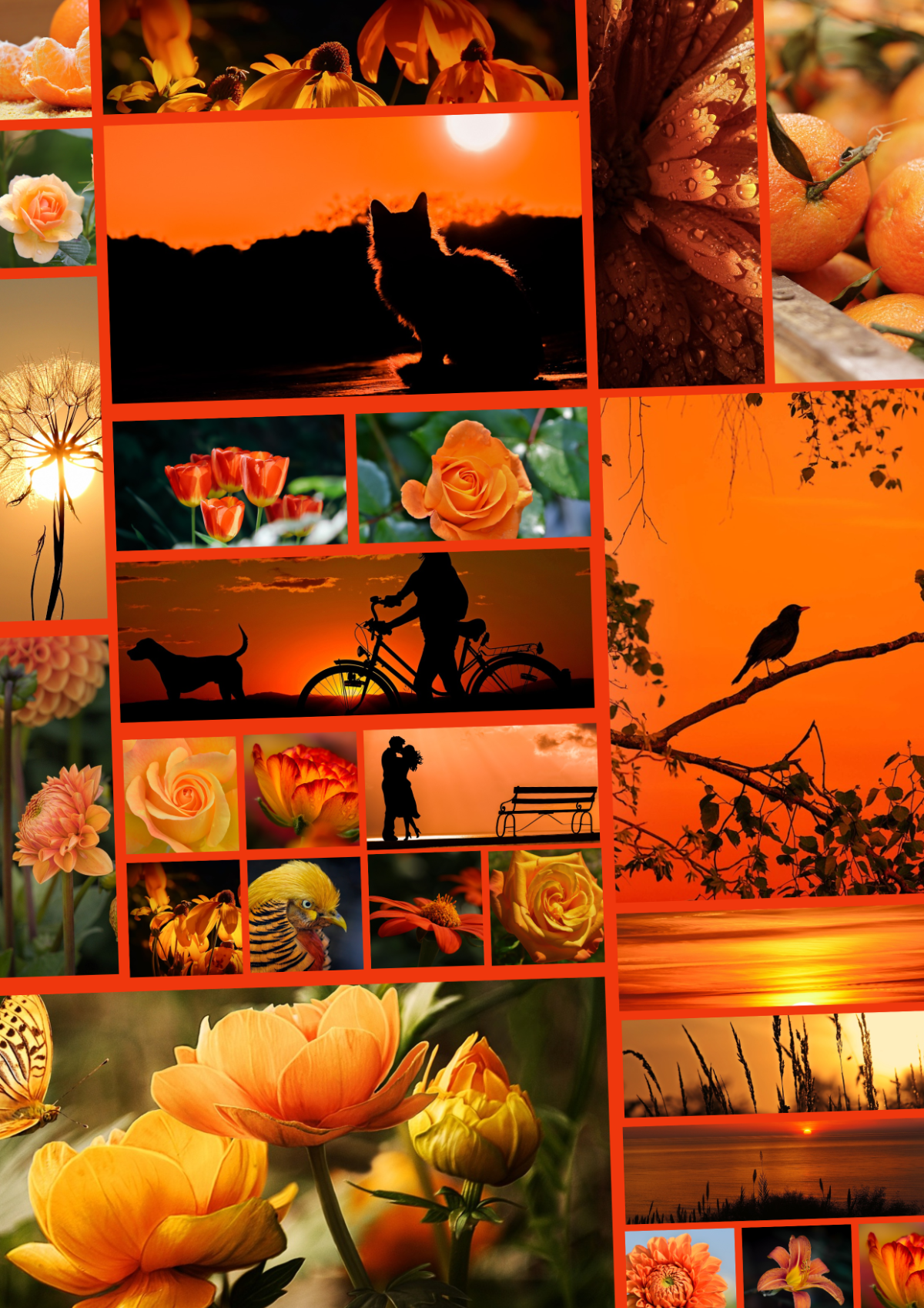 25 Photo Collage Template