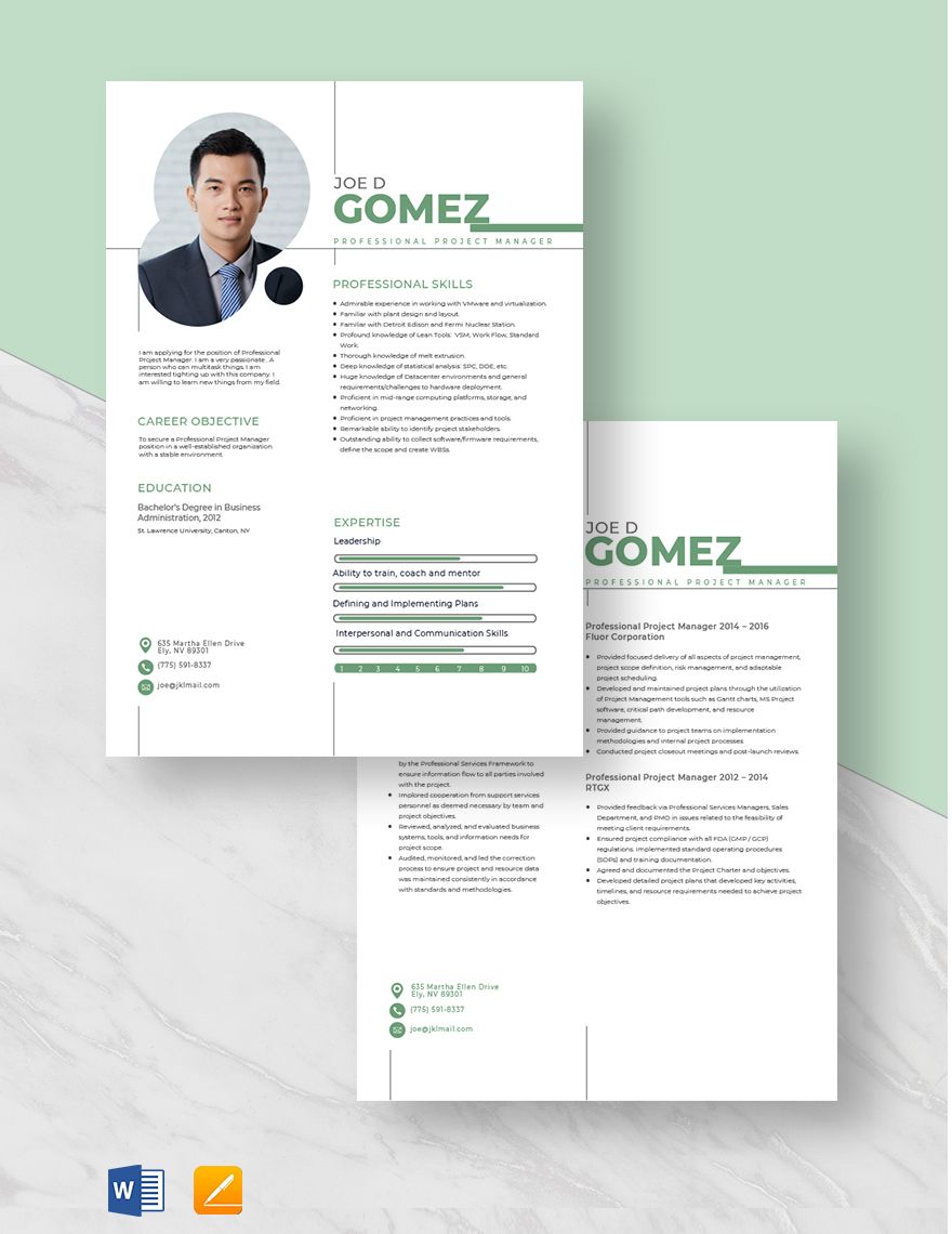 Professional Project Manager Resume