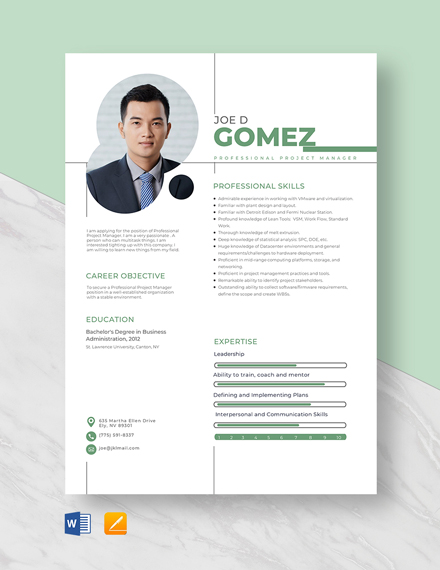Professional Project Manager Resume Template - Word, Apple Pages