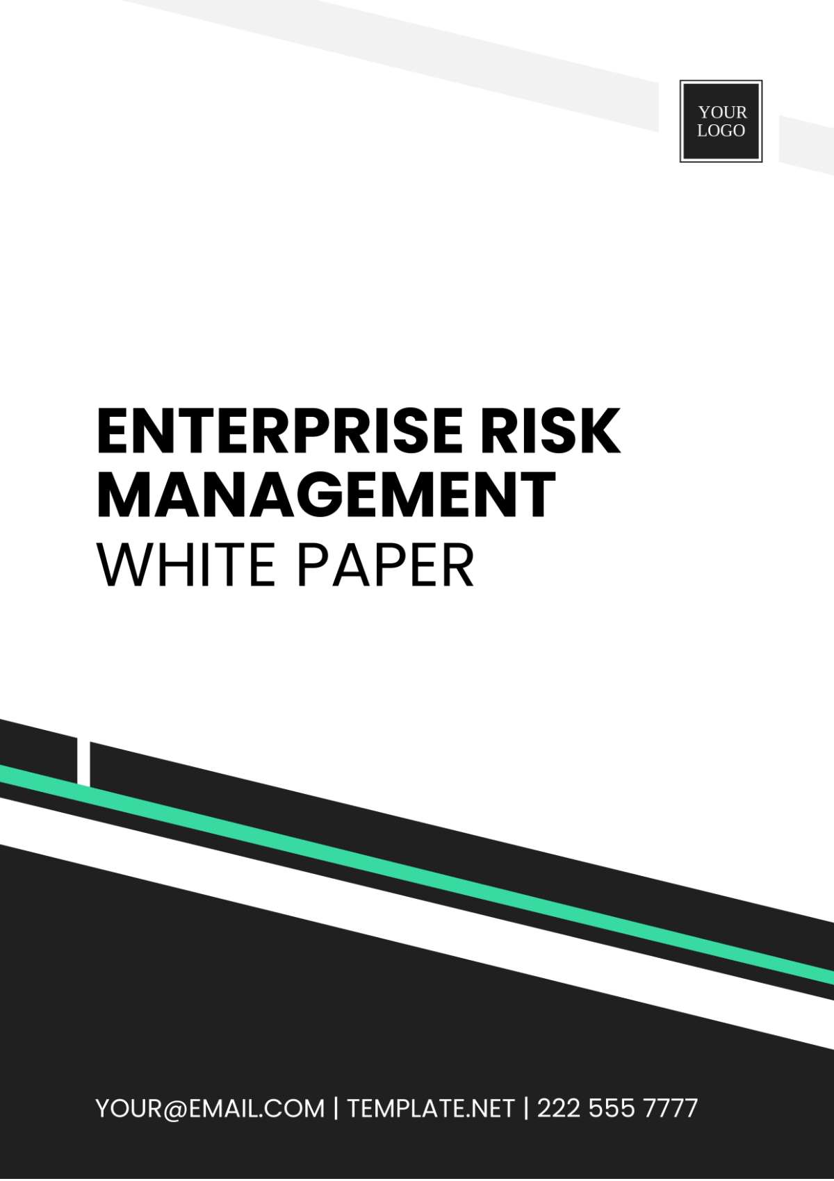 Enterprise Risk Management White Paper Template