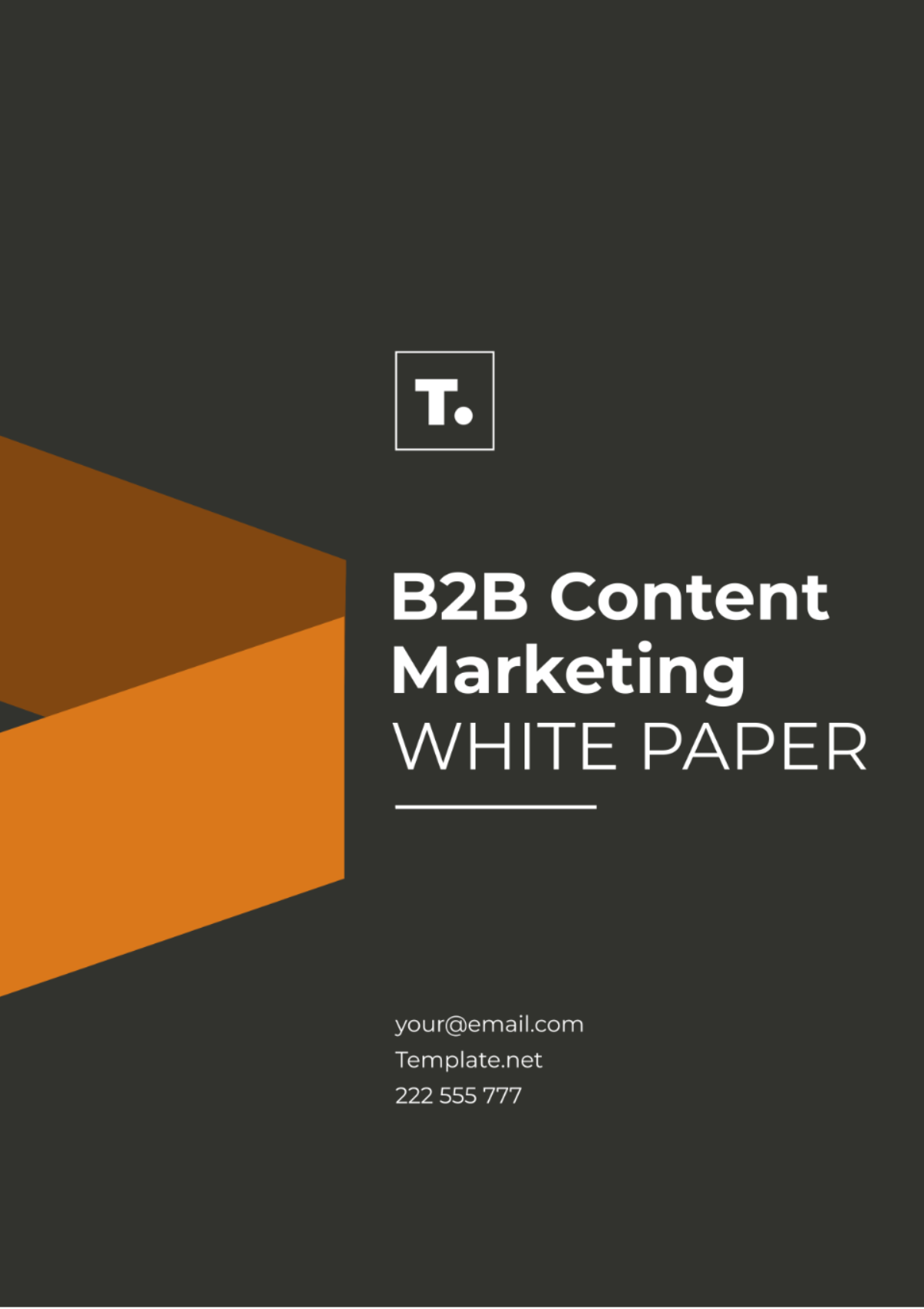 B2B Content Marketing White Paper Template