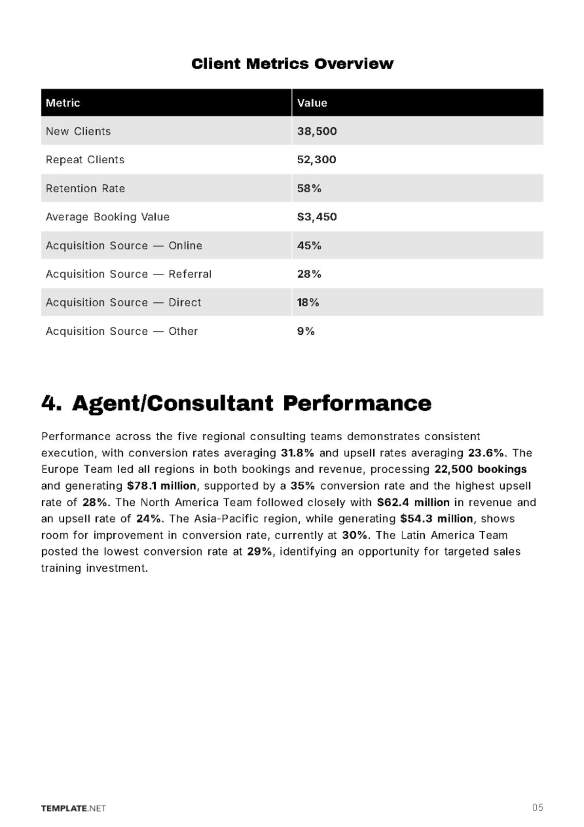 Free Travel Agency Business Report Template to Edit Online