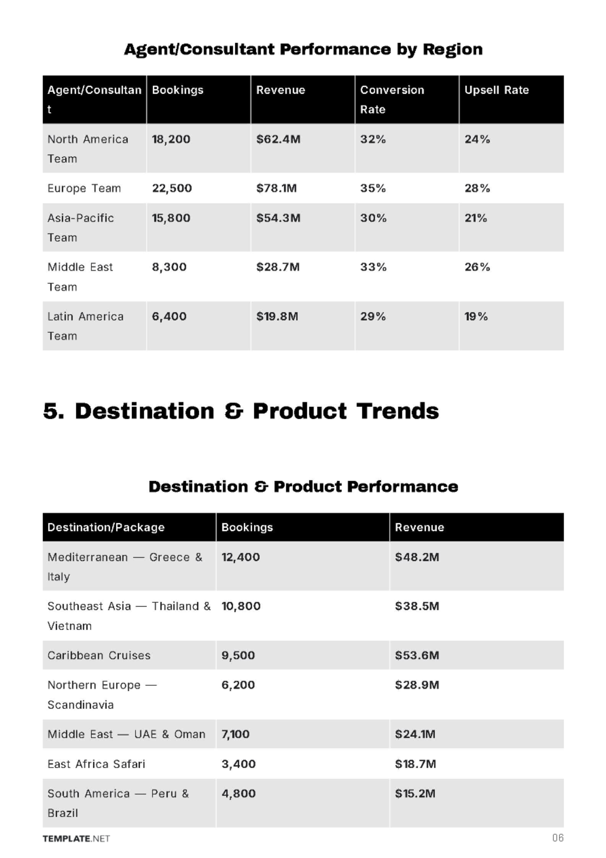 Free Travel Agency Business Report Template to Edit Online