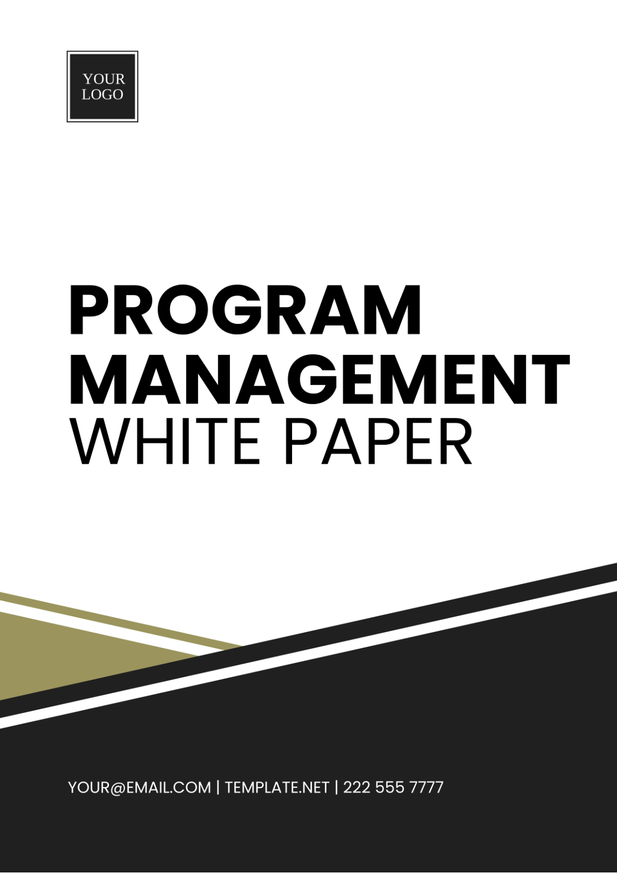 Program Management White Paper Template