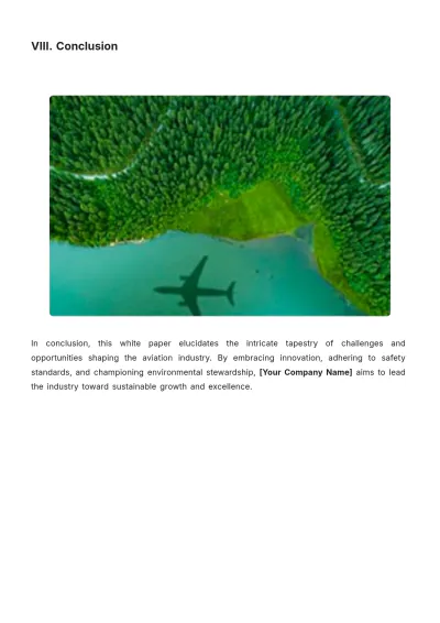 Free Aviation White Paper Template to Edit Online